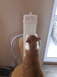 Дряпка Trixie Scratching Board для котів, плоска, бежева, 15х62 см фото від покупців 3