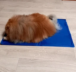 Коврик для собак и кошек Trixie охлаждающий 65х50 см Голубой (4011905286846)