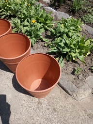 Пальмовка для квітів Form-Wood Plastic кругла під дерево 7,5 л 22 х 26 см Теракот