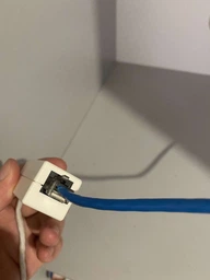 Соединитель сетевых разъемов Cablexpert CAT 6 (NCA-LC6-01) фото от покупателей 8