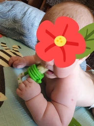Ниблер с силиконовым колпачком Курносики 7066 Зеленый (4890210470665)