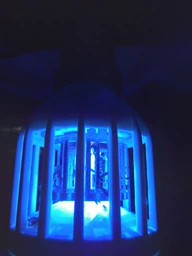 LED лампа ловушка от комаров и насекомых антимоскитная Zapp Light LED фото от покупателей 2