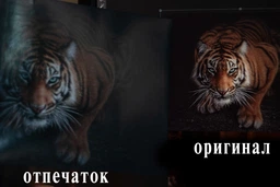 Фотобумага Barva Everyday Глянцевая А4 200 г/м2 60 л (IP-CE200-231) фото от покупателей 1