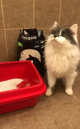 Бентонітовий наповнювач для туалету котів Catmania з ароматом Aloe vera та зеленими гранулами, 5 л фото від покупців 5