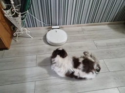 Робот пылесос Xiaomi Mi Robot Vacuum-Mop 1C фото от покупателей 12
