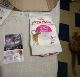 Сухий корм Royal Canin Fussy Exigent Aromatic для дорослих котів вибагливих до аромату корму 4кг фото від покупців 2