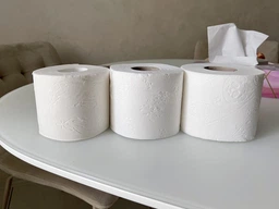 Туалетная бумага Zewa Exclusive Natural Soft бело-кремовая 4 слоя 16 рулонов (7322541361918) фото от покупателей 1
