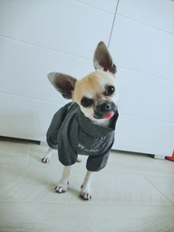 Комбінезон для собак Pet Fashion «RAIN» 6-XL (червоний) фото від покупців 15