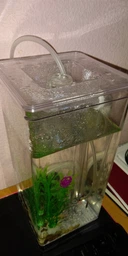 Маленький самоочищающийся аквариум My Fun Fish наноаквариум для рыб | аквариумный набор (комплект) (1007703-Other-1) фото от покупателей 1