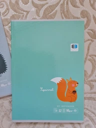 Набір блокнотів Interdruk B&B Kids Pastel А5 у клітинку 32 аркуші 10 шт. (261298) фото від покупців 5