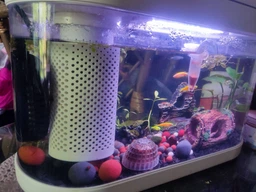Аквариум Xiaomi Geometry Fish Tank Aquaponics Ecosystem 10 л White HF-JHYG001 (2001000011650) фото от покупателей 5