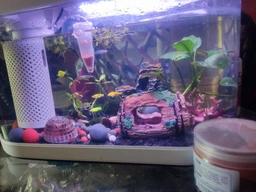Аквариум Xiaomi Geometry Fish Tank Aquaponics Ecosystem 10 л White HF-JHYG001 (2001000011650) фото от покупателей 6