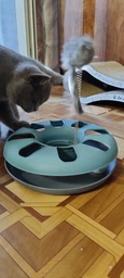 Іграшка для котів Trixie Трек ігровий з мишкою «Crazy Circle» d:24 см, h:29 см