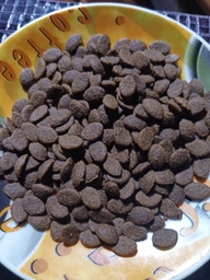 Низкозерновой корм Monge Cat Bwild Low Grain мясо зайца 1.5 кг (012003) фото от покупателей 3