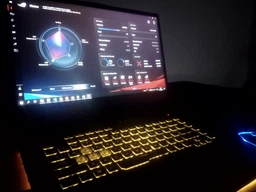 Ноутбук ASUS ROG Strix G15 G512LI-HN058 (90NR0381-M01630) Black