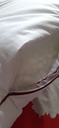 Подушка антиаллергенная MirSon 1174 DeLuxe EcoSilk Высокая 40х40 см (2200003265002) фото от покупателей 1