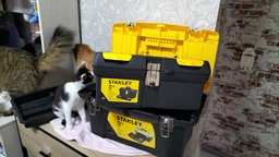 Ящик Для Инструментов (411 х 199 х 185 мм) Series 2000 STANLEY 1-92-065