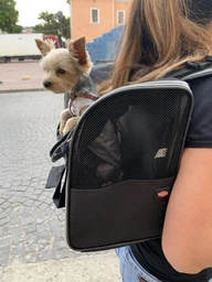 Рюкзак-переноска для собак и кошек Trixie TBag 42 х 29 x 21 см до 8 кг Черный с серым (4011905028828) фото от покупателей 5