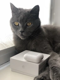 Навушники Apple AirPods with Charging Case (MV7N2TY/A) (2-е покоління)