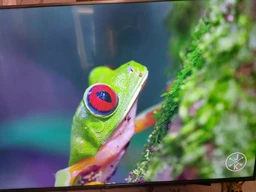 Телевизор Xiaomi Mi LED TV 4S 55" UHD 4K (L55M5-5ARU) фото от покупателей 10