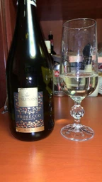 Вино игристое Trevisana Prosecco Frizzante DOC белое экстра-сухое 0.75 л 11% (8003030872724) фото от покупателей 7