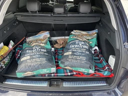 Сухий корм Carnilove Dog Adult Fresh Carp & Trout для дорослих собак з коропом і фореллю 12 кг (170872/7557)