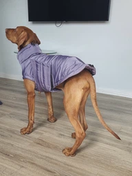 Пуховик Noble Pet Bobby Navy M (B4118/M) фото от покупателей 1