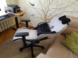 Ігрове крісло AndaSeat T-Pro 2, Black (AD12XLLA-01-B-F) фото від покупців 2