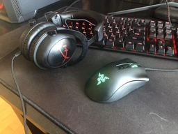 Мышь Razer DeathAdder V2 USB Black (RZ01-03210100-R3M1) фото от покупателей 15