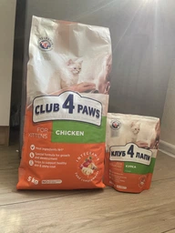 Сухий корм для кішок Club 4 Paws Преміум. Для кошенят зі смаком курки 300 г (4820083909115)