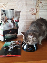 Сухой корм Purina Pro Plan LiveClear для стерилизованных кошек старше 7 лет, с индейкой 1.4 кг (7613287232731)