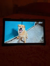 Планшет Samsung Galaxy Tab A7 10.4" LTE 32GB Grey (SM-T505NZAASEK) фото от покупателей 5