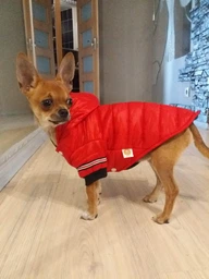 Куртка для собак Fashion XS Серый фото от покупателей 2