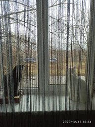 Штори нитки веселка з люрексом 300x280 cm Сіро-чорно-білі (NL-203) фото від покупців 11