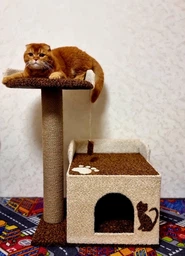 Когтеточка для котика с большим домиком и лежанками 70* 55 * 40см бежево коричневый фото от покупателей 6