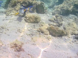 Экшн камера с аквабоксом для подводной съёмки водонепроницаемая Action camera SJR700 UltraHD Черная + Гибкий штатив фото от покупателей 1