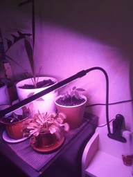 Світлодіодні LED лампи для рослин 2 гілки Wi-Grain з таймером. Фітолампа. USB
