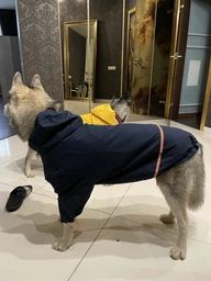 Куртка-дощовик для собак Noble Pet Moss Yellow M-Short (M4108/M-Short)