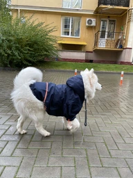 Куртка-дощовик для собак Noble Pet Moss Yellow M-Short (M4108/M-Short) фото от покупателей 1