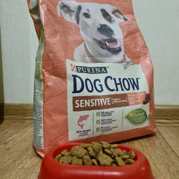 Сухой корм для собак Purina Dog Chow Sensitive для собак с чувствительным пищеварением, с лососем, 14 кг фото от покупателей 2