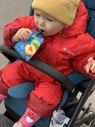 Фруктове пюре Gerber Яблуко та персик з 6 місяців 90 г (7613036345460) фото від покупців 3