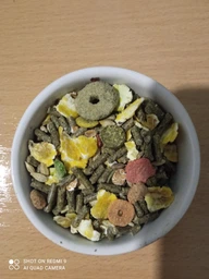 Корм для морских свинок Versele-Laga Crispy Muesli Cavia зерновая смесь с витамином C 20 кг (611685) фото от покупателей 2