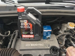 Моторное масло Motul 8100 Eco-lite 5W-30 208 л (108230) фото от покупателей 2