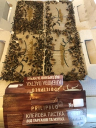 Клейова пастка для тарганів та комах Prilipalo фото від покупців 8