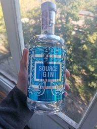 Джин Source 0.7 л 43% (3259680009026)