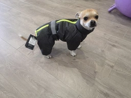 Комбінезон Pet Fashion COLD для собак сірий 5XL