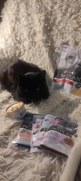 Консервированный корм Purina Pro Plan Veterinary Diets Baby Kitten Нежный мусс с курицей для котят 85 г (8445290673718) фото от покупателей 13