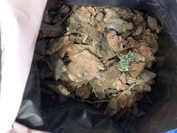 Торфяной субстрат Поліський для эпифитных орхидей 2.5 л 2 шт (2017112419)