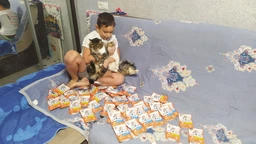 Вологий корм для кішок Club 4 Paws Premium Плюс з лососем в желе, 85 г фото від покупців 4