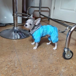 Комбинезон Collar AiryVest One для собак, размер L 50 Розовый (24237)